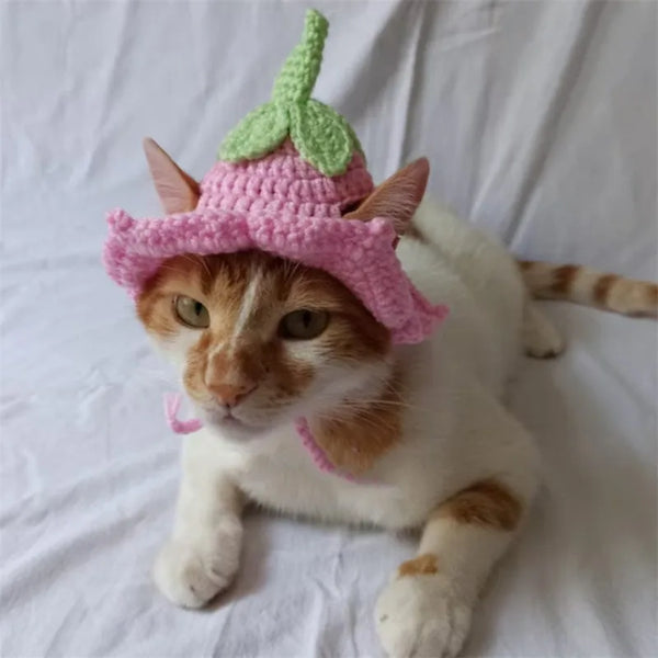 Handmade-Crochet-Pumpkin-Hat-Cat-Headdress-Crochet-Pet-Hat-with-Playful-Eggplant-Decoration-Cute-Pet-Hat.jpg